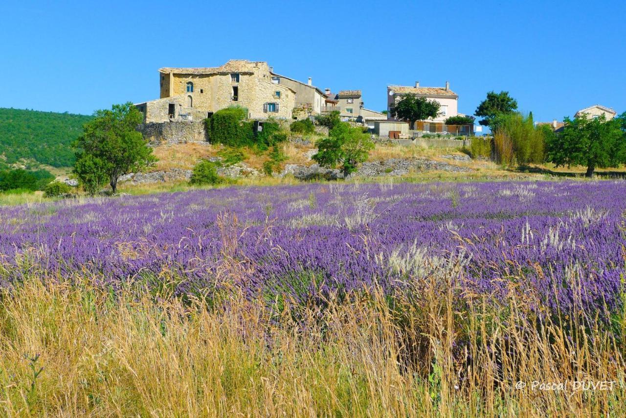 La Maison De Marie-Jeanne - Le Rocher D'Ongles Екстер'єр фото