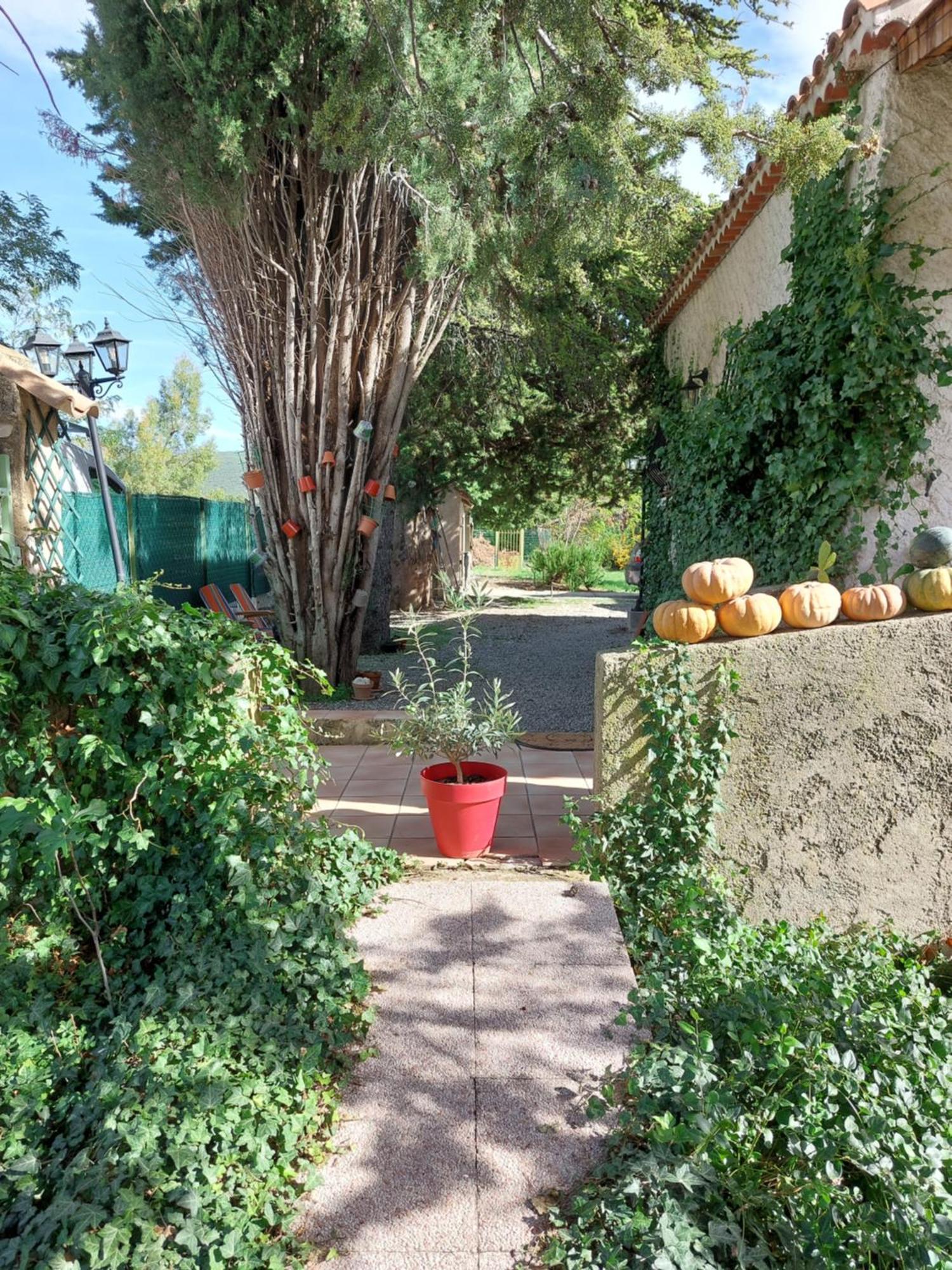 La Maison De Marie-Jeanne - Le Rocher D'Ongles Екстер'єр фото